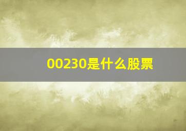 00230是什么股票