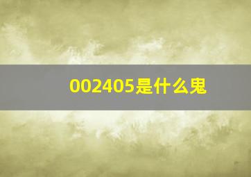 002405是什么鬼