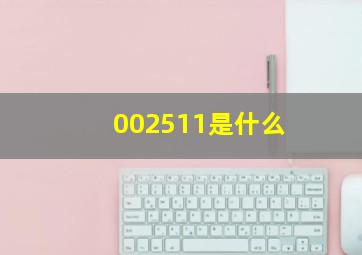 002511是什么