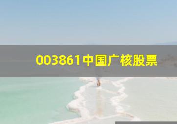 003861中国广核股票