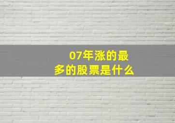 07年涨的最多的股票是什么