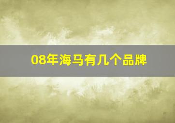 08年海马有几个品牌