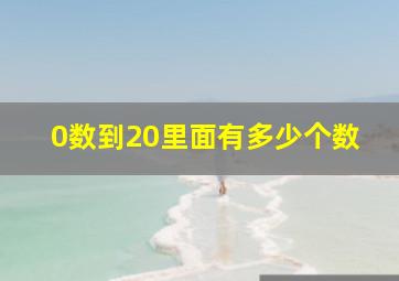 0数到20里面有多少个数