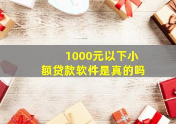 1000元以下小额贷款软件是真的吗