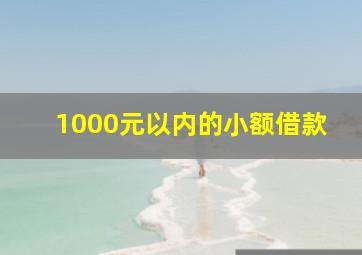 1000元以内的小额借款