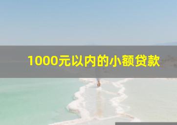 1000元以内的小额贷款