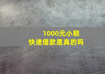 1000元小额快速借款是真的吗