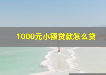 1000元小额贷款怎么贷