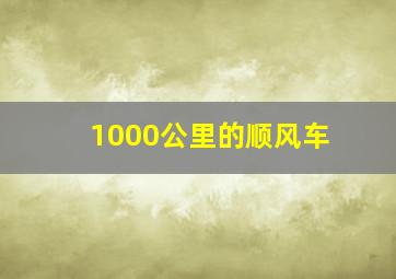 1000公里的顺风车