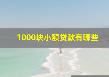 1000块小额贷款有哪些