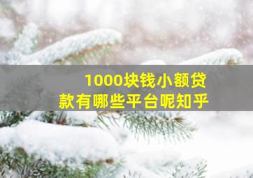 1000块钱小额贷款有哪些平台呢知乎