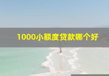 1000小额度贷款哪个好