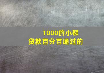 1000的小额贷款百分百通过的