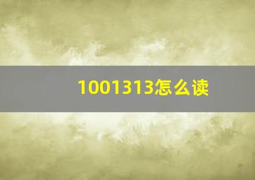 1001313怎么读