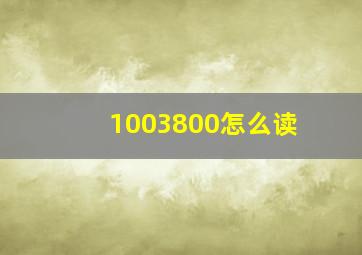 1003800怎么读