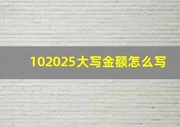 102025大写金额怎么写