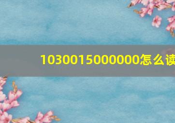 1030015000000怎么读