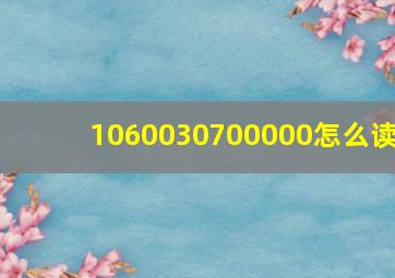 1060030700000怎么读