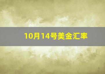 10月14号美金汇率