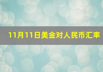 11月11日美金对人民币汇率