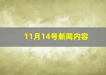 11月14号新闻内容