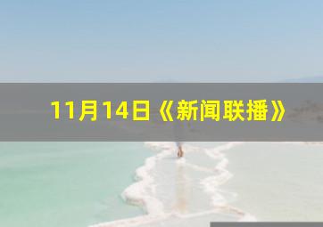 11月14日《新闻联播》