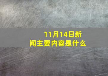 11月14日新闻主要内容是什么