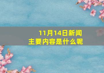 11月14日新闻主要内容是什么呢