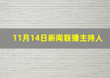 11月14日新闻联播主持人