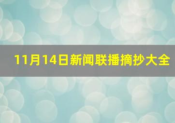 11月14日新闻联播摘抄大全