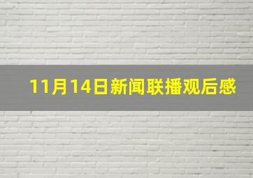 11月14日新闻联播观后感