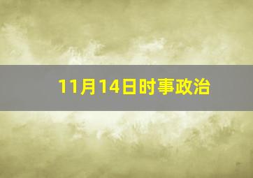 11月14日时事政治