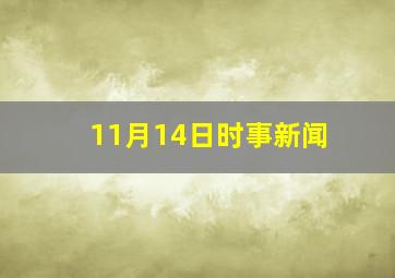 11月14日时事新闻