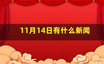 11月14日有什么新闻