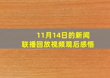 11月14日的新闻联播回放视频观后感悟