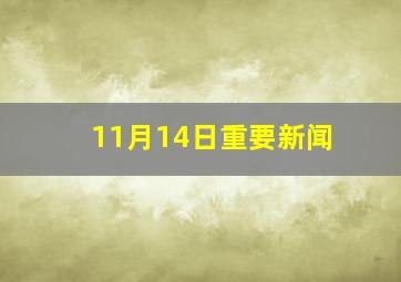 11月14日重要新闻