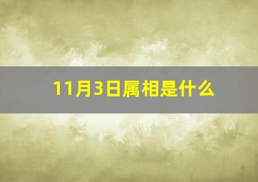 11月3日属相是什么