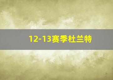 12-13赛季杜兰特