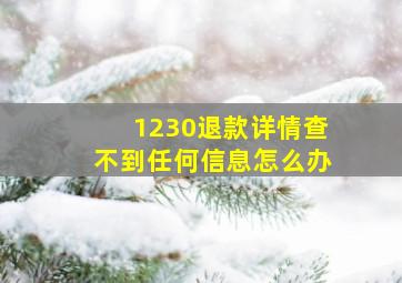 1230退款详情查不到任何信息怎么办