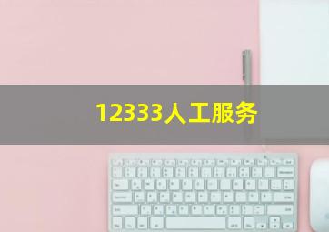 12333人工服务