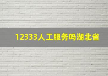 12333人工服务吗湖北省