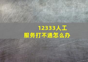 12333人工服务打不通怎么办