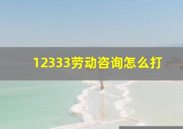 12333劳动咨询怎么打