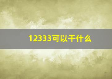 12333可以干什么