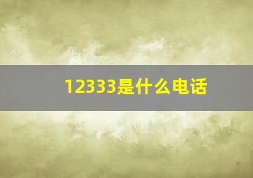 12333是什么电话