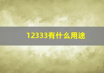 12333有什么用途