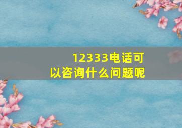 12333电话可以咨询什么问题呢