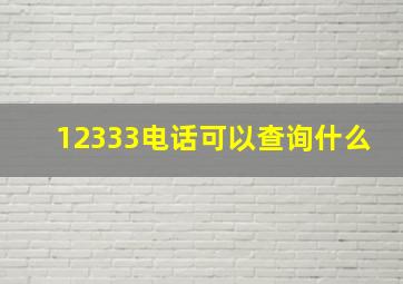 12333电话可以查询什么