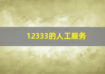 12333的人工服务