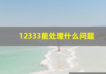 12333能处理什么问题